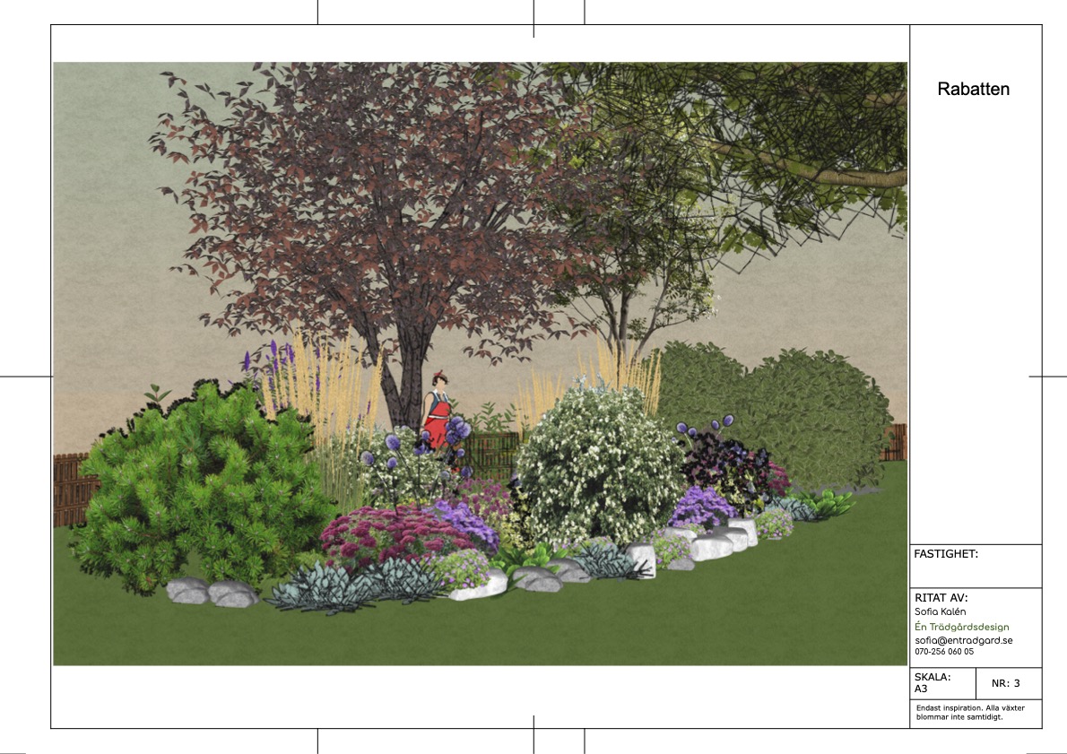 Trädgårdsdesign 3D-vy plantering
