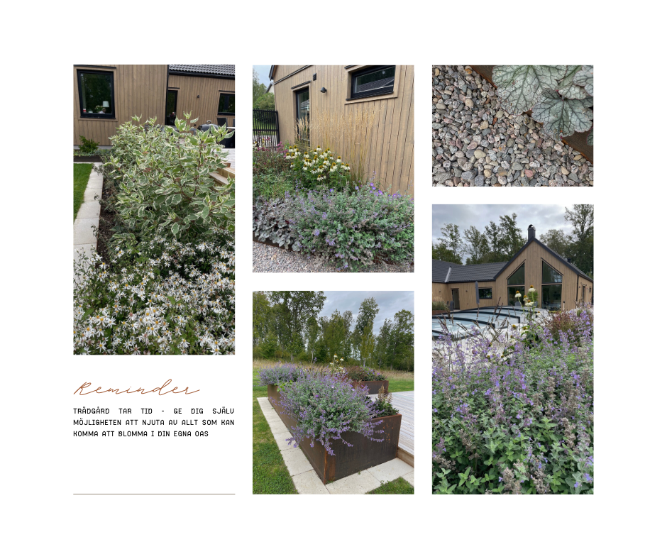 Trädgårdsdesign 3D-vy plantering